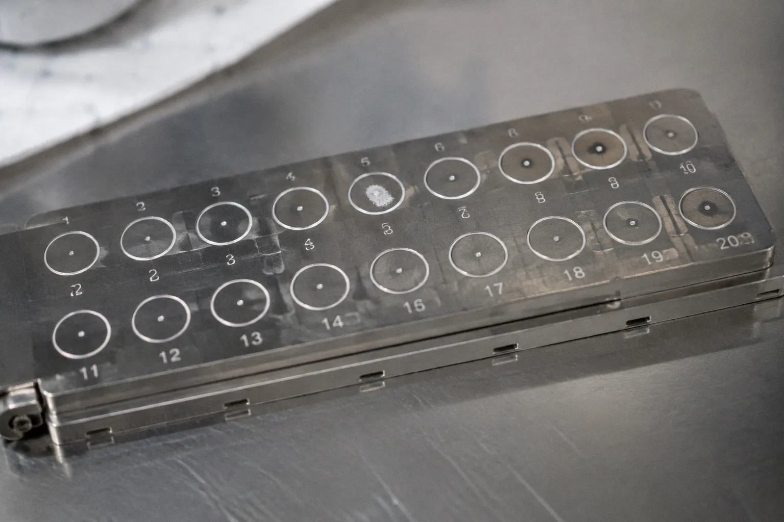 MALDI-TOF Mass Spectrometry Errors: A Diagnostic Case